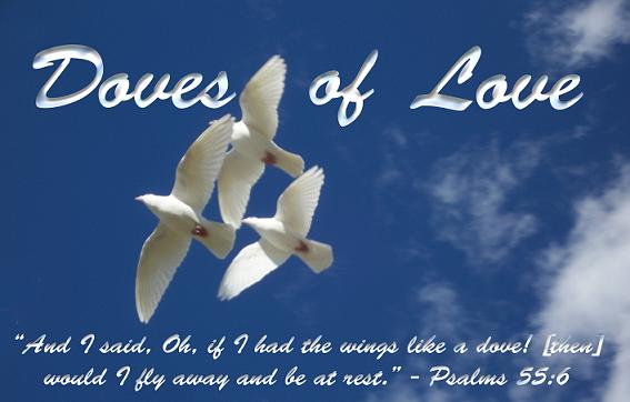 Released Doves aloft
