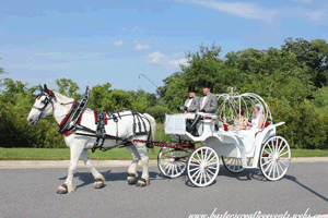 Cinderella Carriage