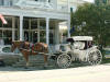 Bert at Boxwood Inn