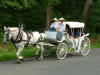 Drivers w/western Atire
