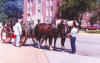 Re-commissioning Civil War Coffee Wagon